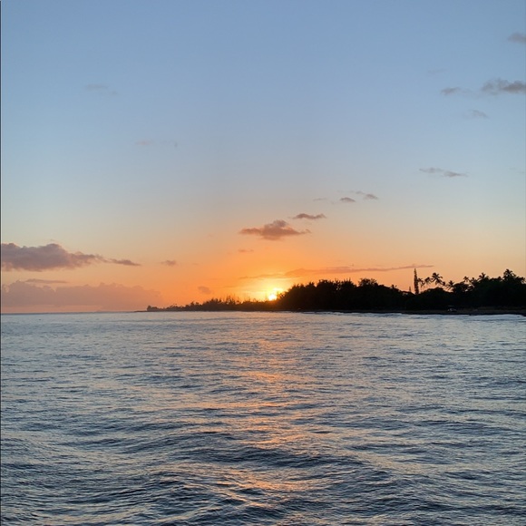 Meet your Posher, Whit - Picture 1 of 1